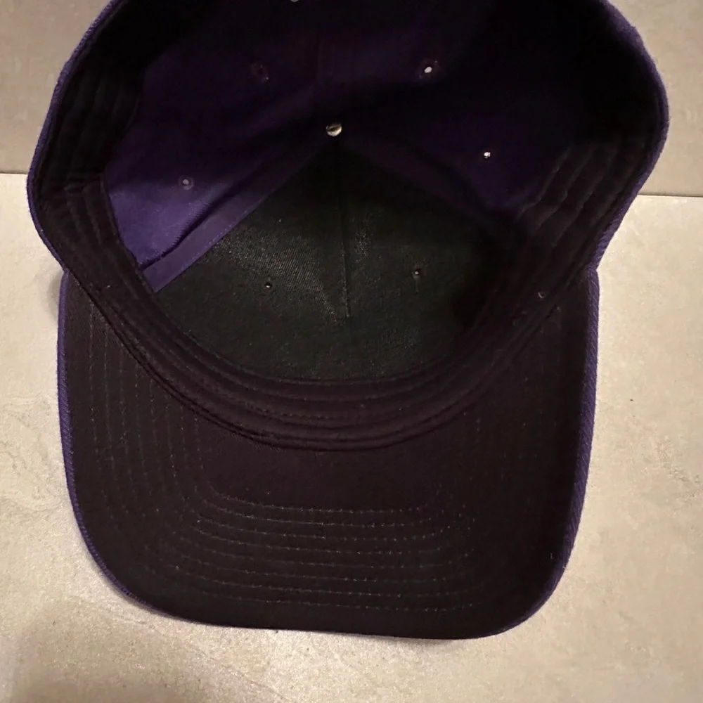 Washington Huskies College Football Nike Dri-fit Classic 99 Fitted Ball Cap Hat